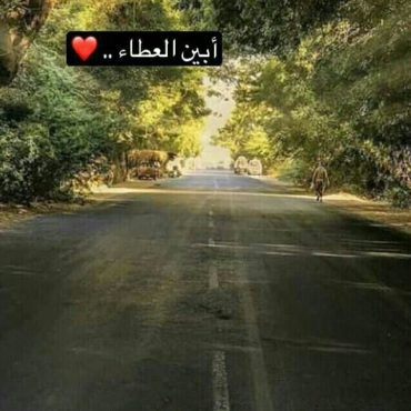 ابين