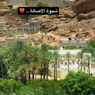 شبوة