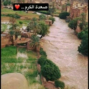 صعدة